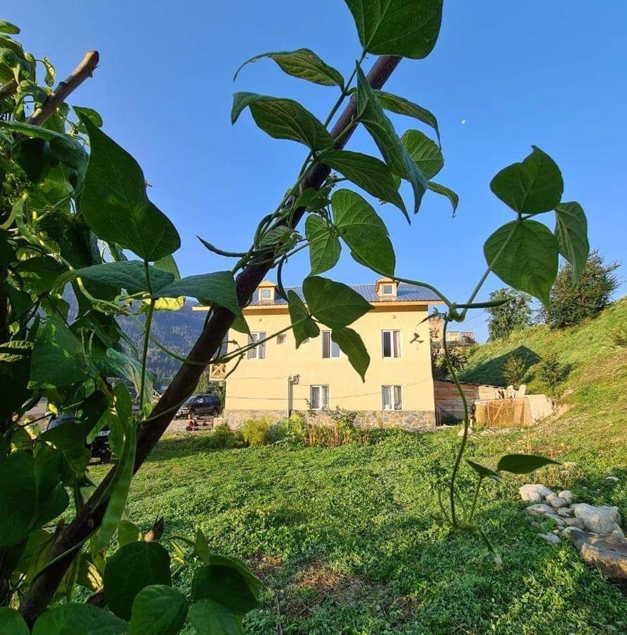 Tetne Qor Guesthouse Mestia Buitenkant foto