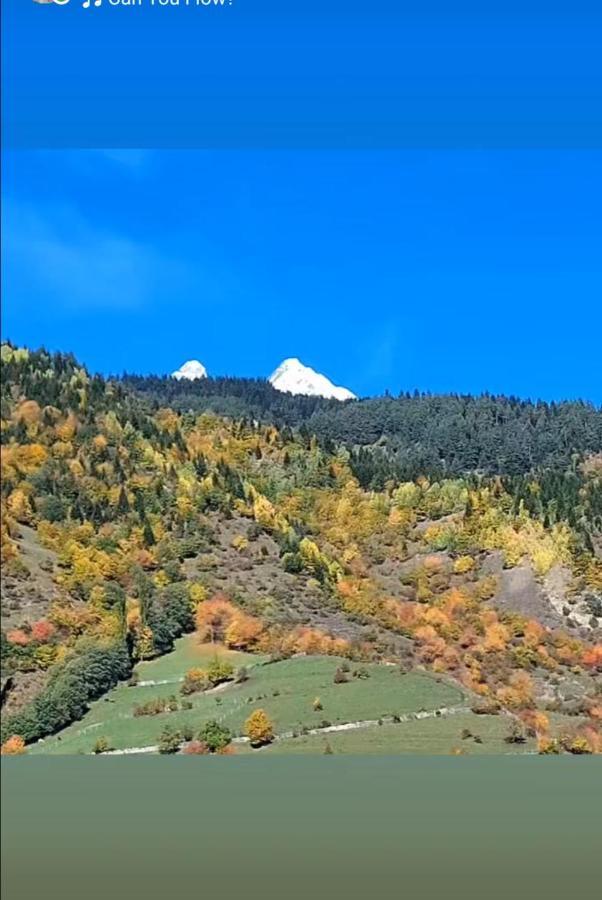 Tetne Qor Guesthouse Mestia Buitenkant foto