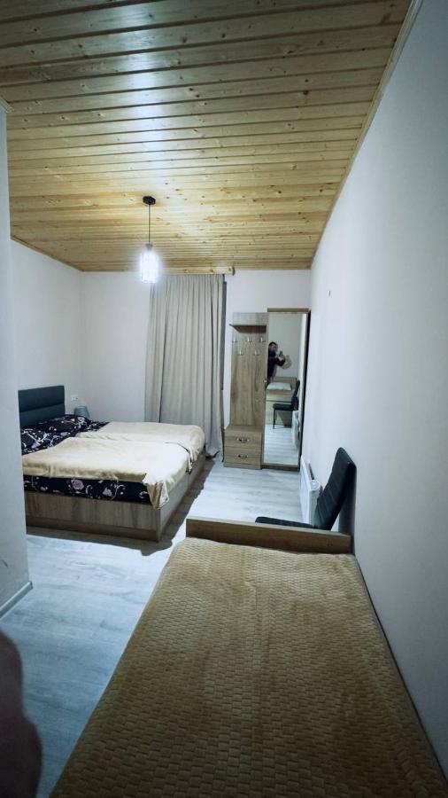 Tetne Qor Guesthouse Mestia Buitenkant foto