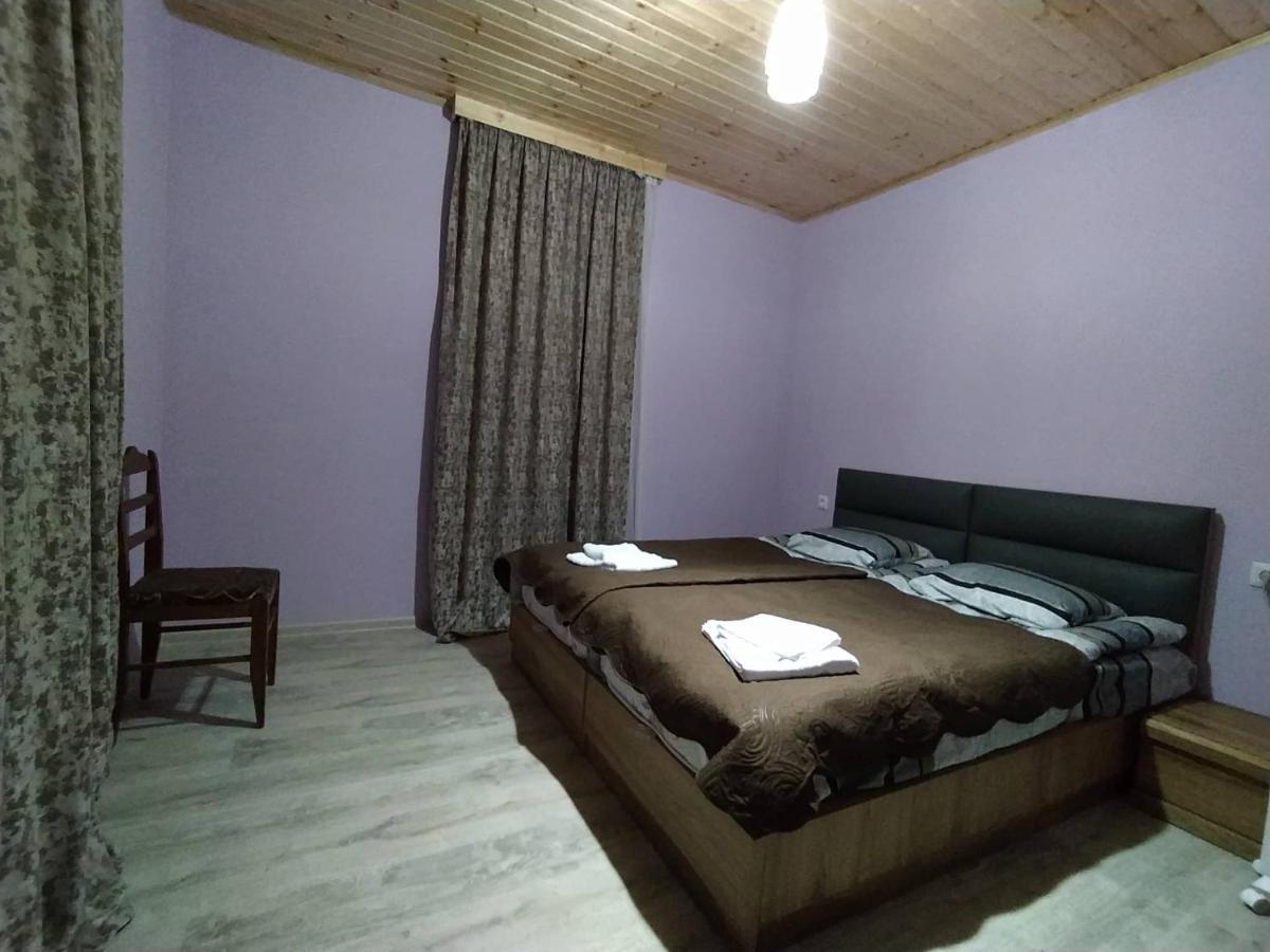 Tetne Qor Guesthouse Mestia Buitenkant foto